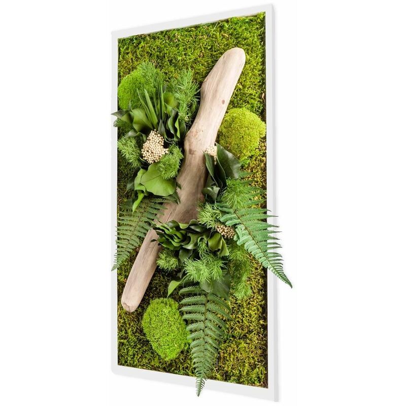 Tableau végétal rectangle nature avec plantes stabilisées