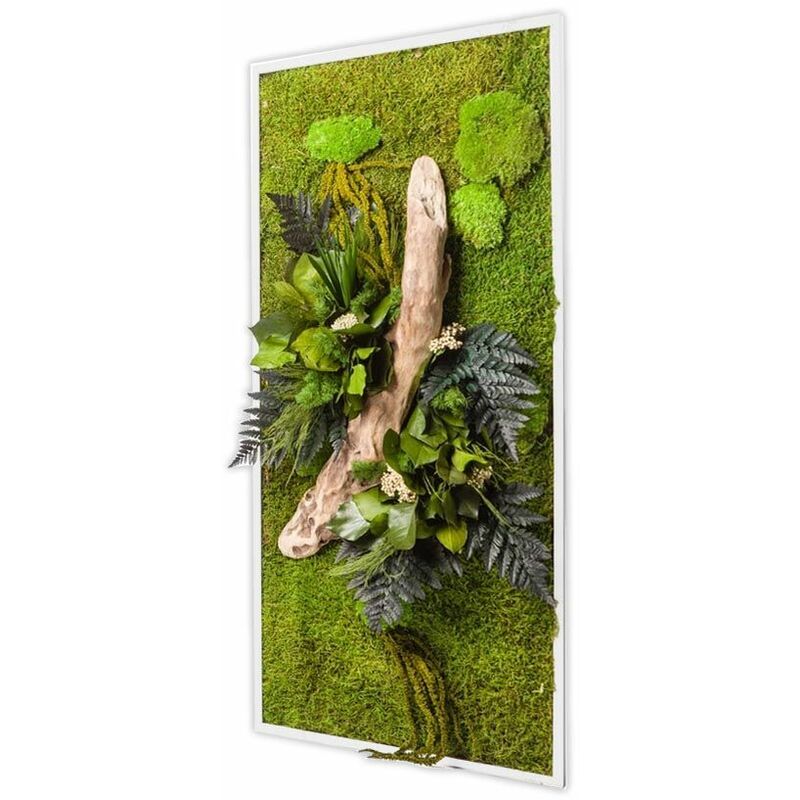 Tableau végétal rectangle XL avec plantes stabilisées