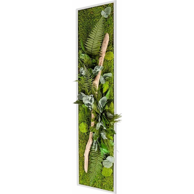 Tableau végétal nature XL avec plantes stabilisées
