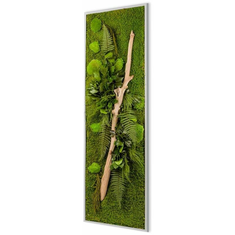 Panneau végétal nature avec plantes stabilisées