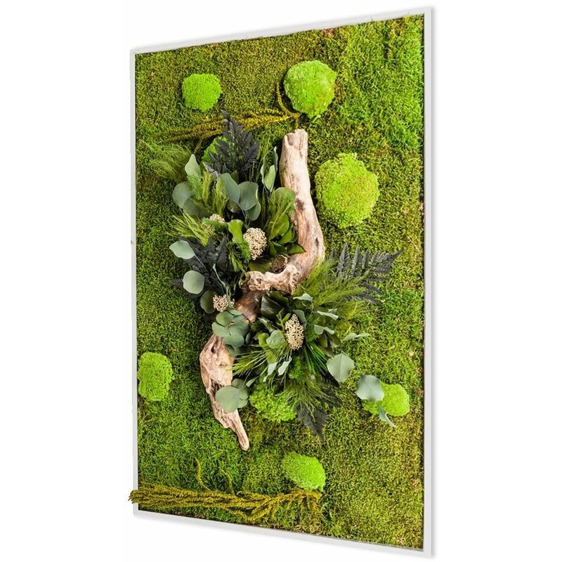 Grand tableau végétal rectangle nature avec plantes stabilisées