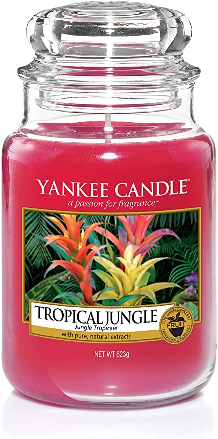 Bougie jarre en verre Jungle tropical Grand modèle