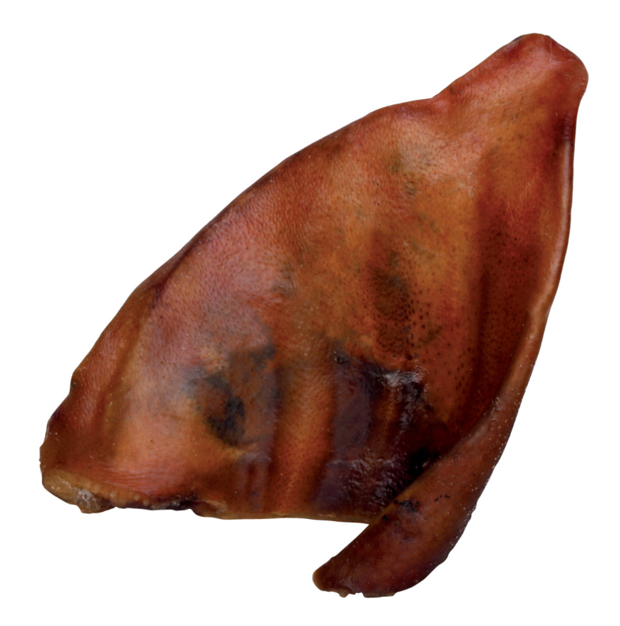 Sachet de 10 oreilles de porc séchées pour chien