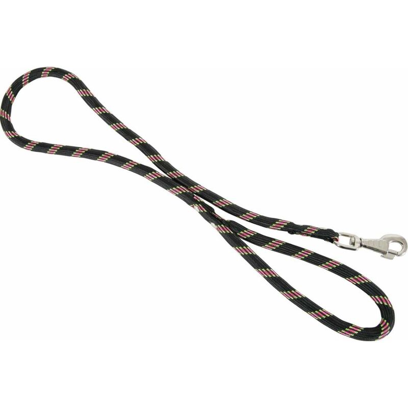 Laisse en nylon ultrarésistante noire 13 mm 2 m