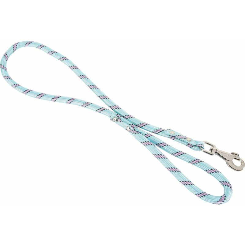 Laisse en nylon ultrarésistante turquoise 13 mm