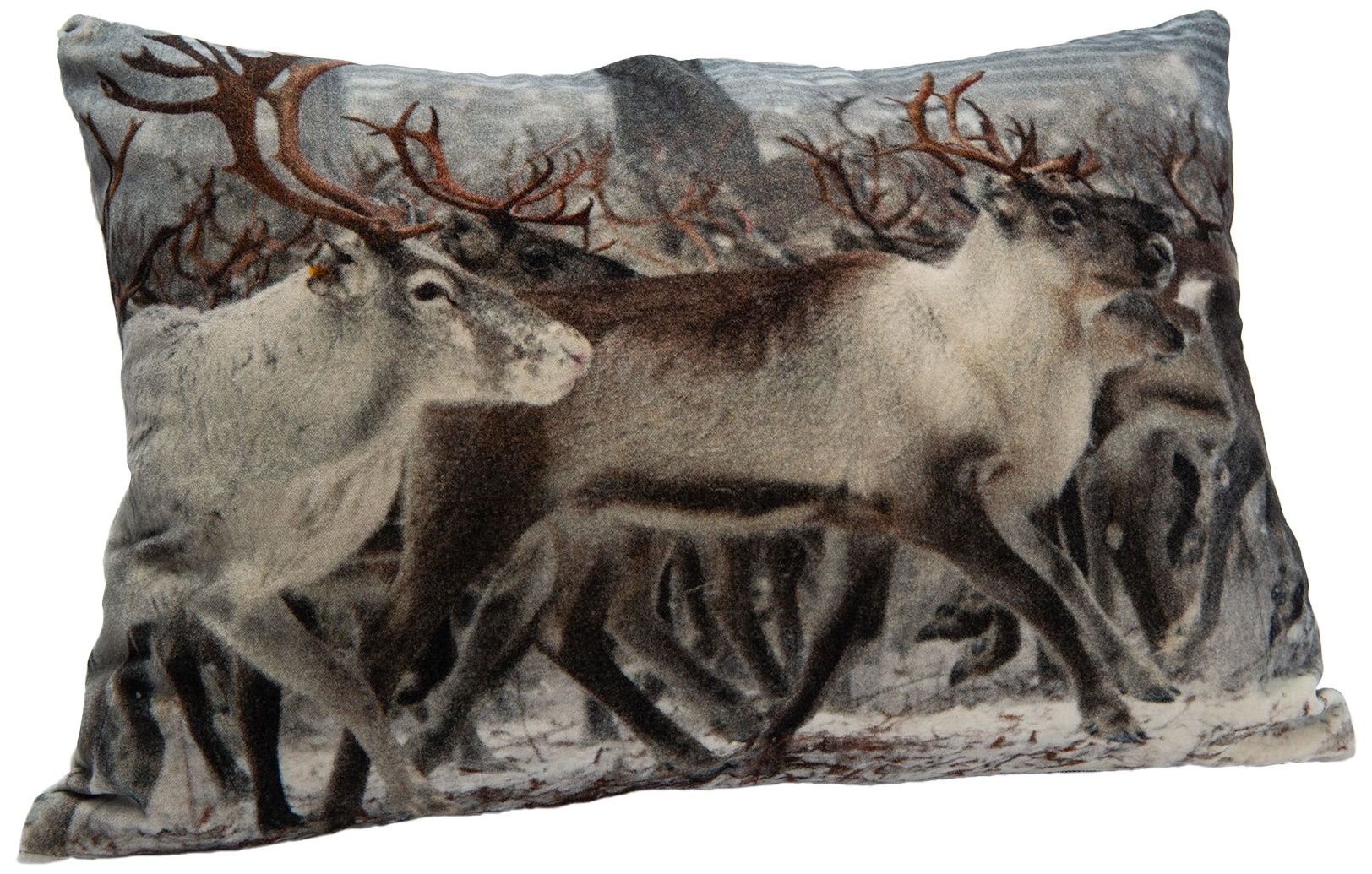 Coussin en velours troupeau de cerf 40 x 60 cm