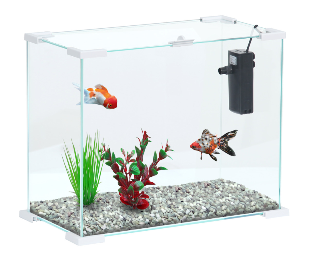 Aquarium avec filtre Nanolife first 24