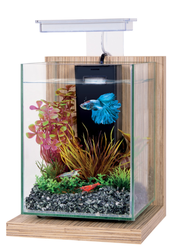 Kit aquarium avec support bois éclairage et filtre Wiha