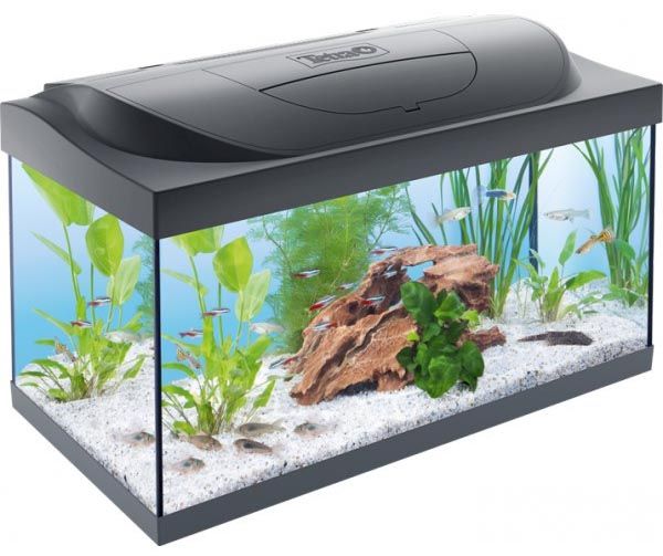 Aquarium Tetra starter line 54L