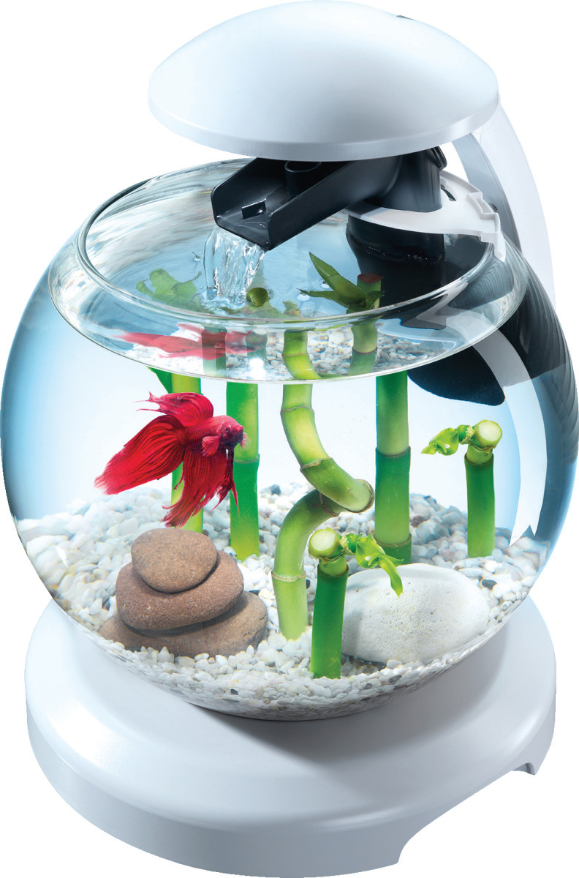 Aquarium Tetra cascade globe 6.8L