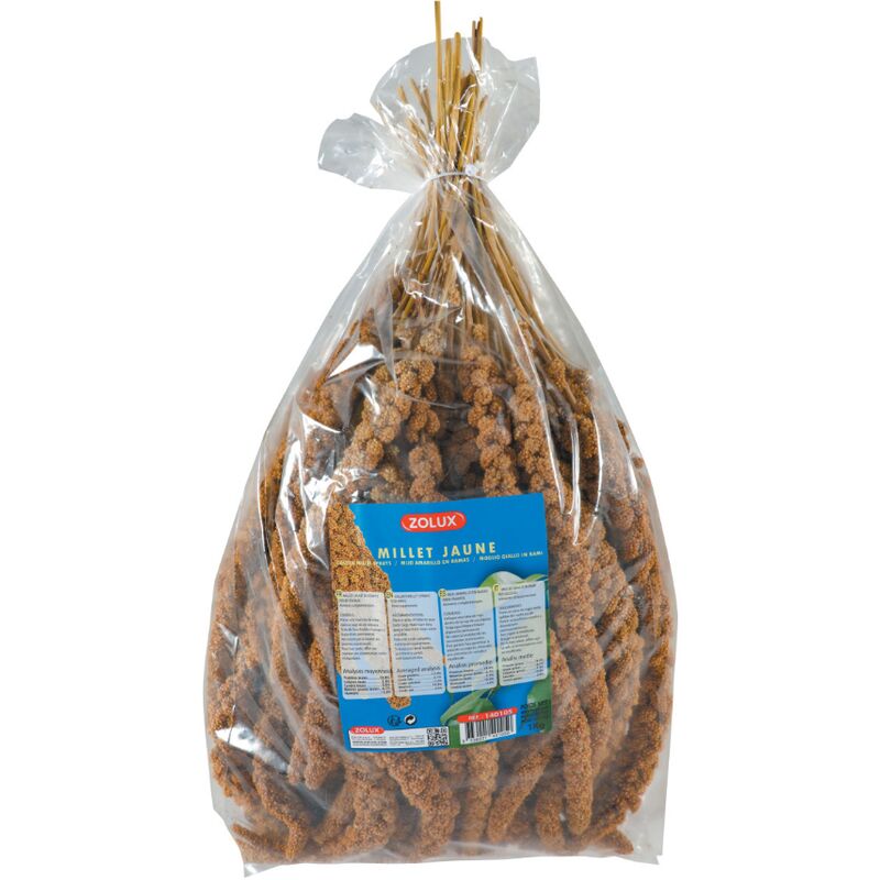 Millet jaune d'Anjou en grappe 1kg