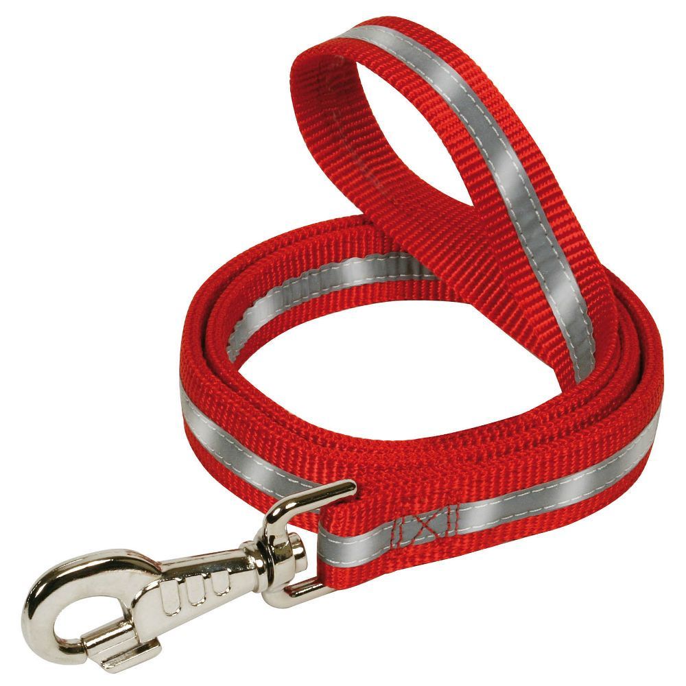 Laisse réfléchissante en nylon 1,10 mètre