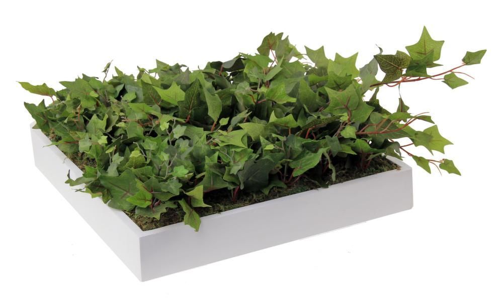 Cadre déco lierre artificiel