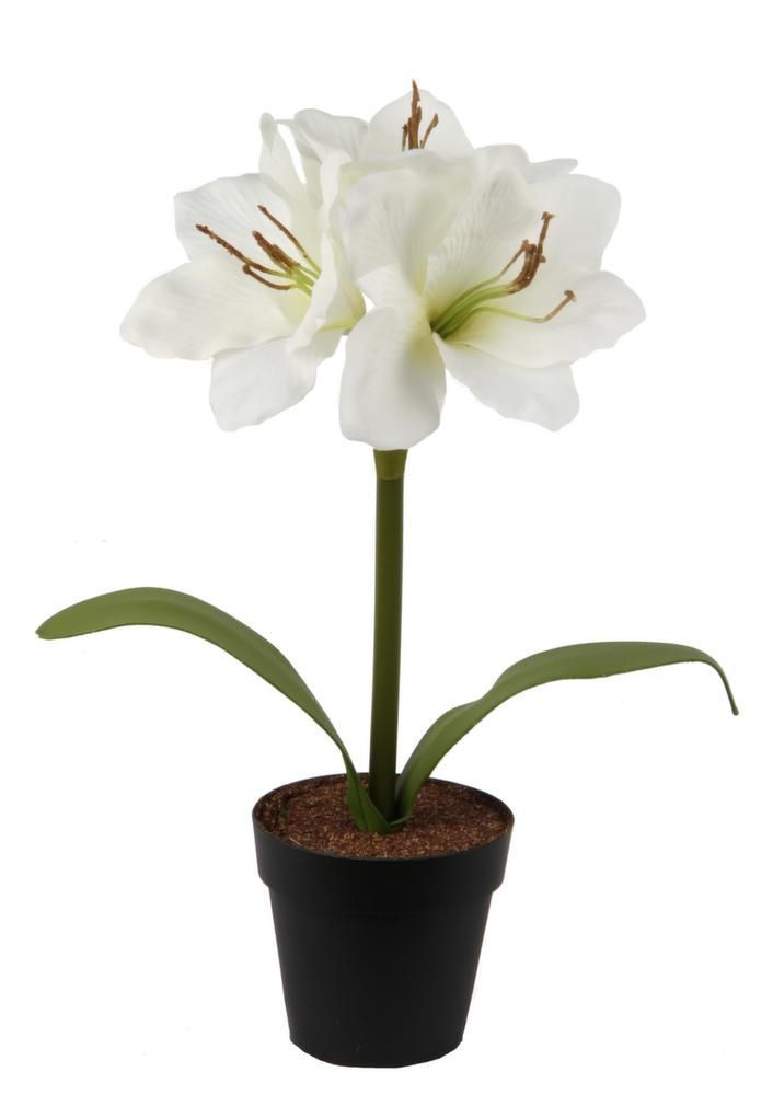 Amaryllis rouge artificielle en pot