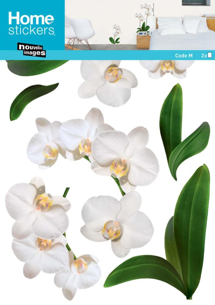 Sticker mural plante orchidée blanche