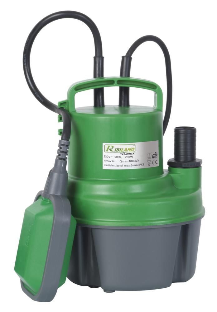 Pompe vide cave eaux claires 250w