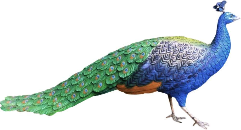 Paon à couronne en résine taille réelle