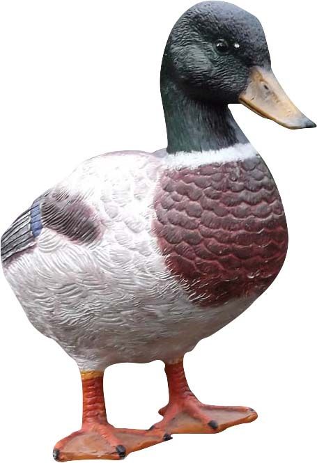 Canard colvert en résine géant