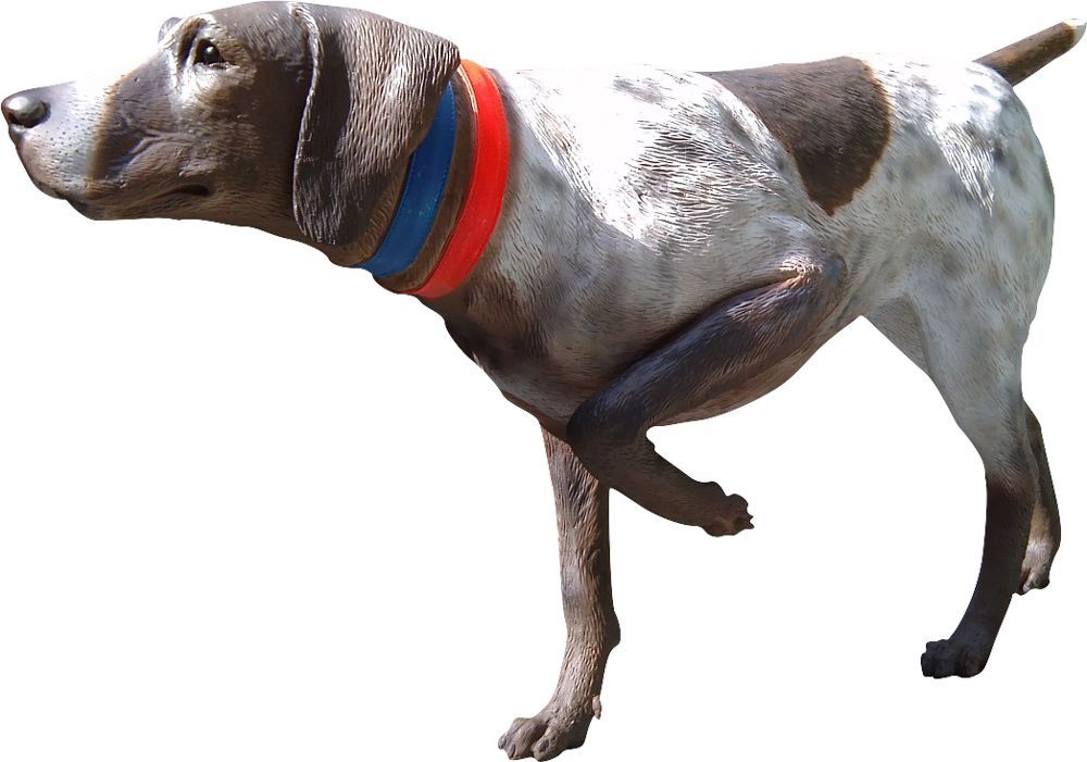 Chien de chasse Pointer en résine 130 cm