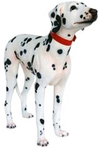 Dalmatien en résine 93 cm