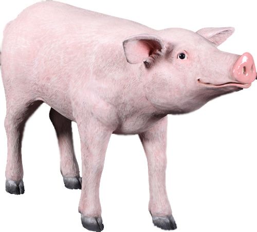 Cochon tête droite en résine 96 cm