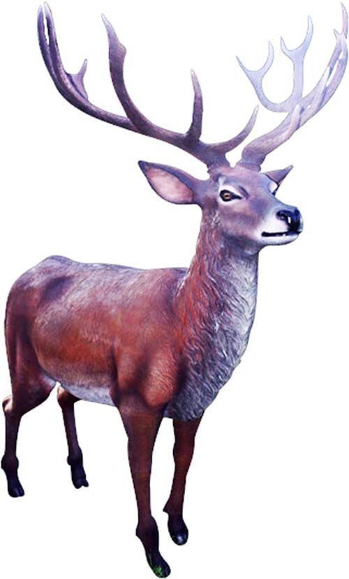 Cerf adulte en résine taille réelle