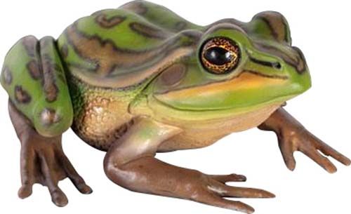 Grenouille en résine 34 cm