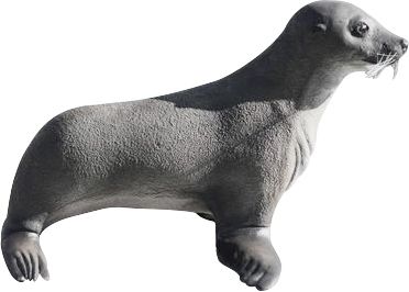 Otarie en résine 70 cm