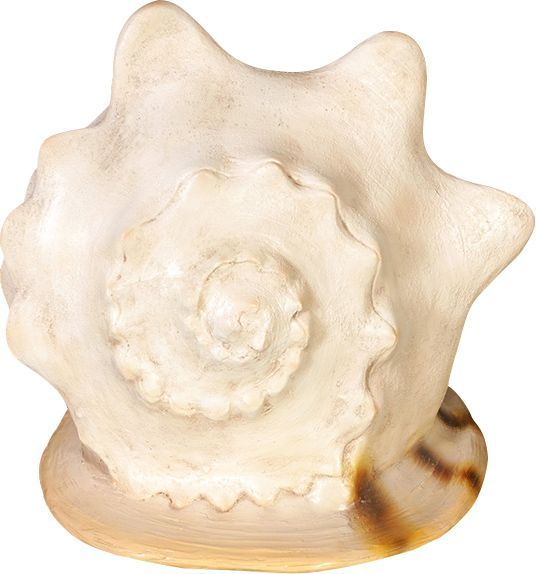 Coquillage bénitier géant en résine 60 cm