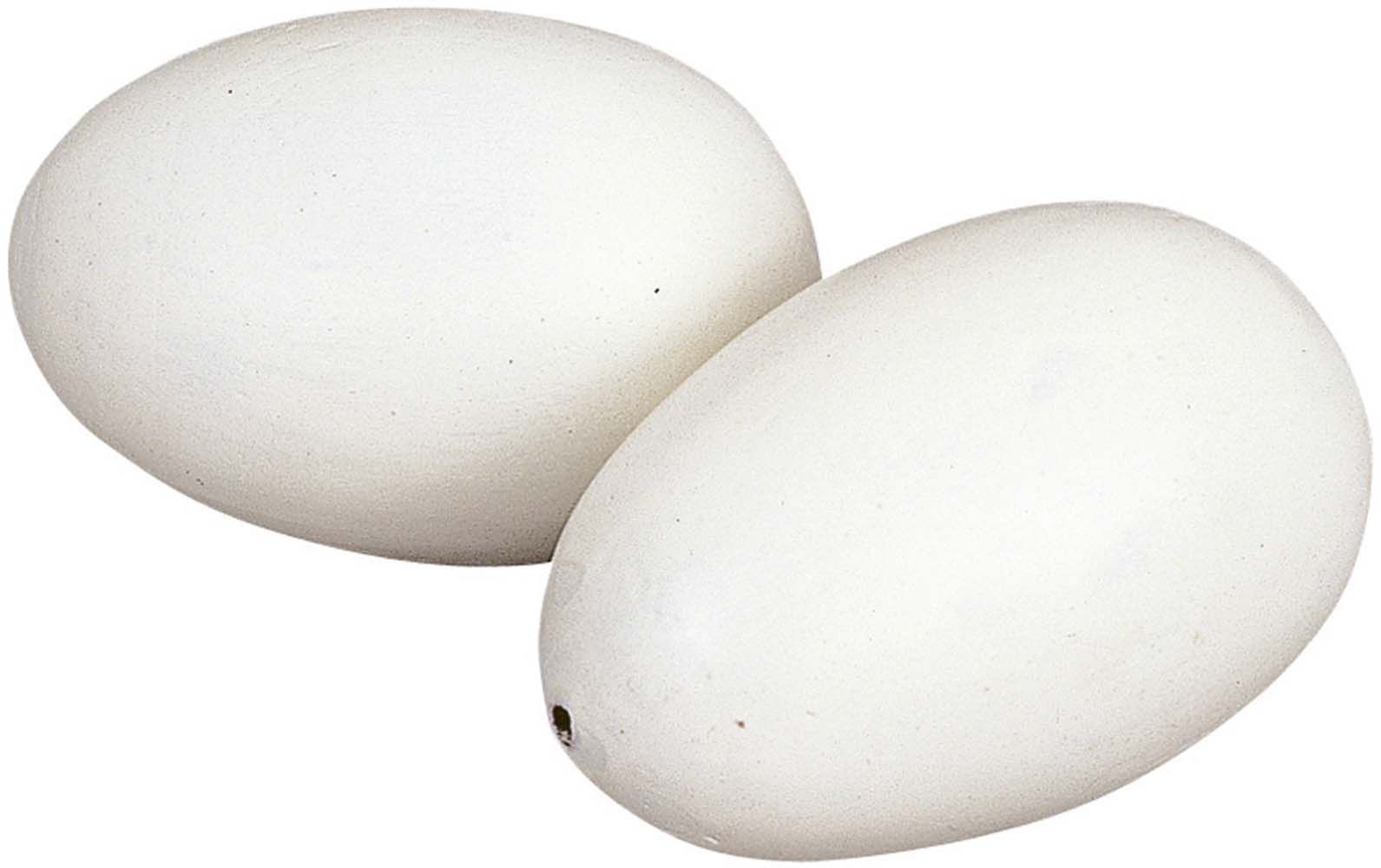 Oeufs factices pour apprentissage (Lot de 2)