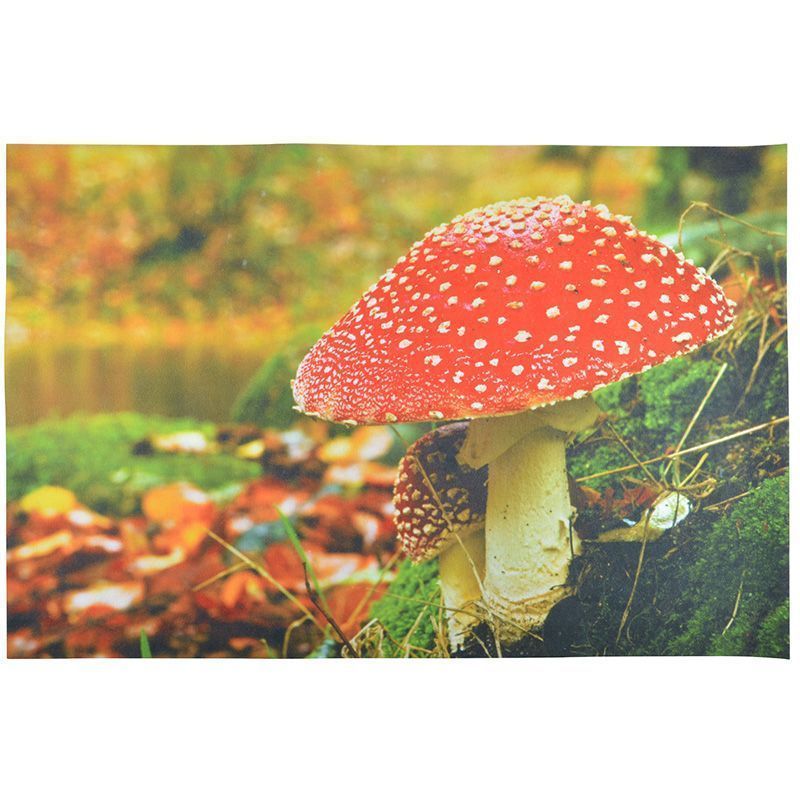 Grand paillasson déco avec motif champignon