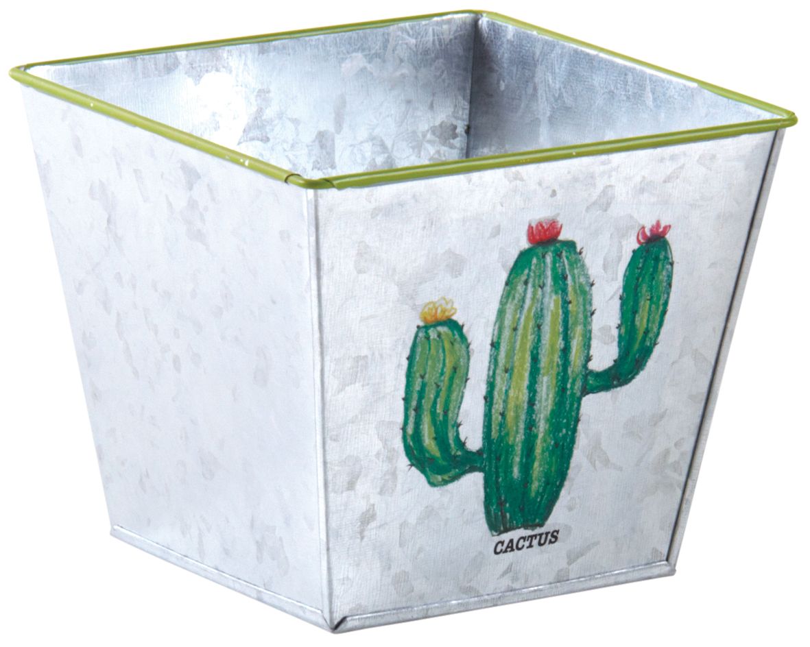 Corbeille carré en métal galvanisé Cactus