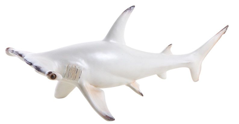 Requin marteau en résine blanc