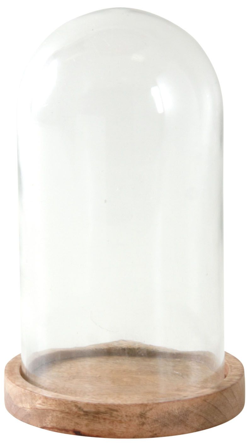 Cloche verre et manguier