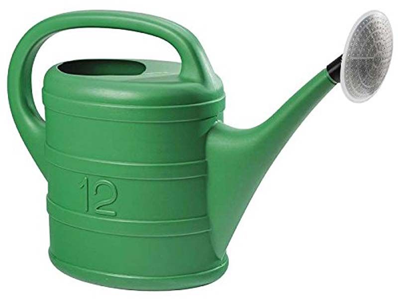 Arrosoir 12l avec pomme d'arrosage