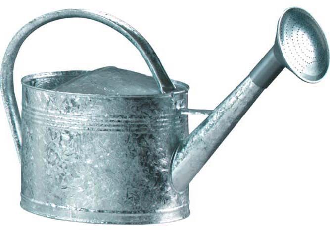 Arrosoir acier galvanisé avec pomme 6 litres