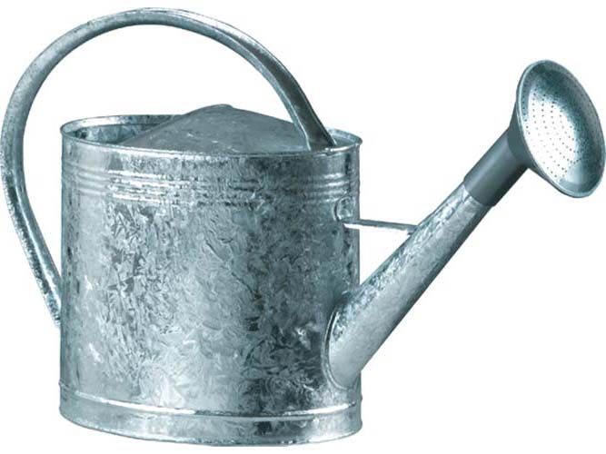 Arrosoir acier galvanisé avec pomme 13 litres