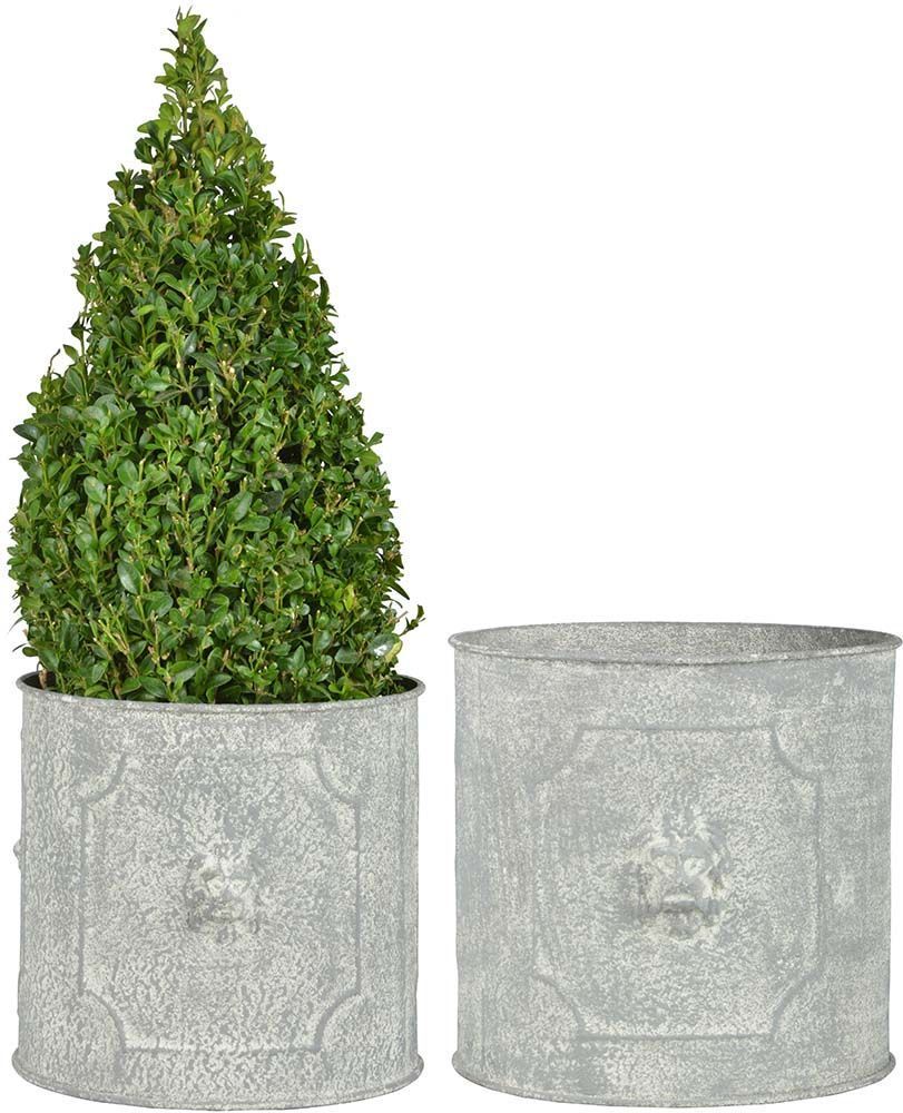 Pot de fleurs ronds Lion (Lot de 2)