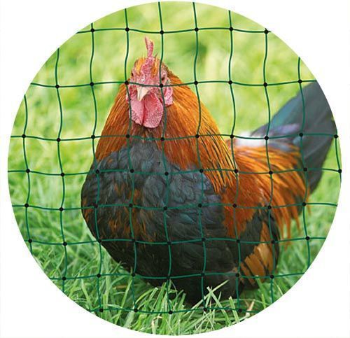 Filet à volailles 25m simple pointe 25m