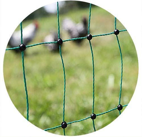 Filet à volailles électrifiable 50m double pointe 50m