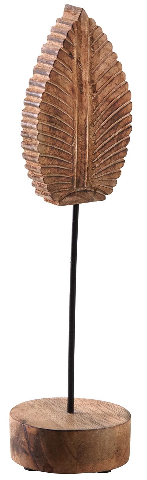 Plume sur pied en manguier