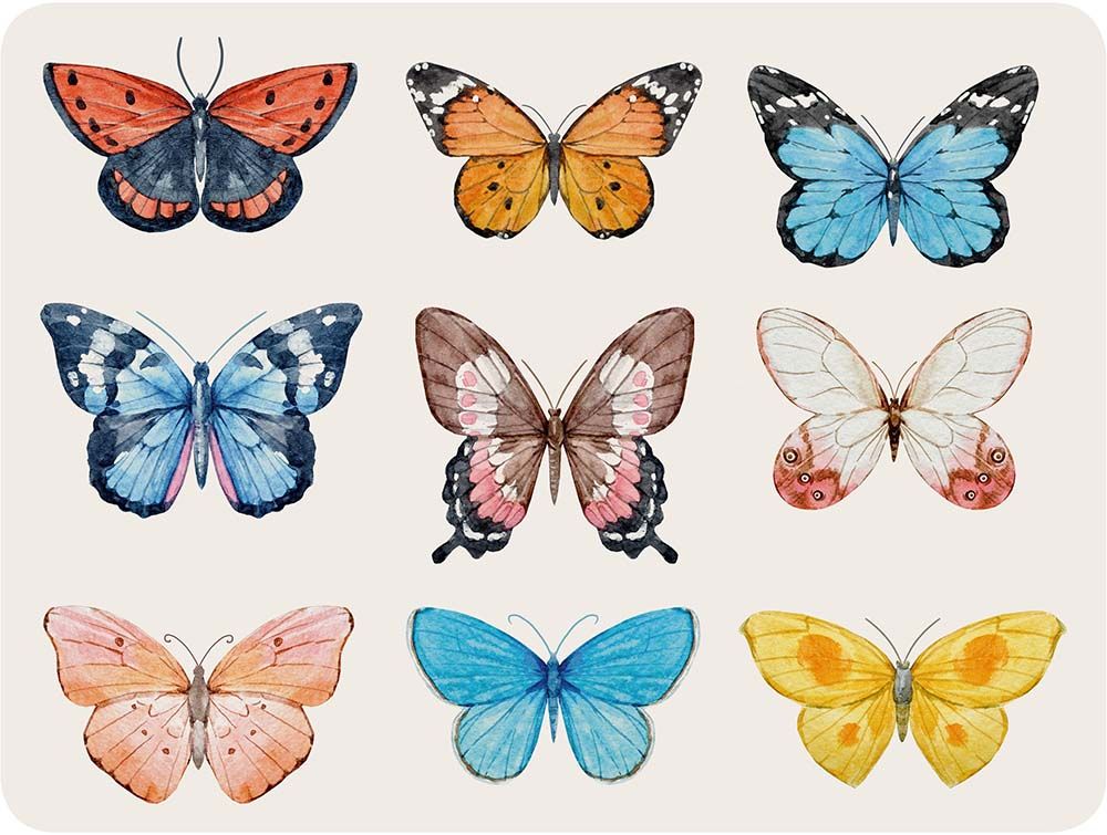 Set de table en vinyle Papillons Unitaire