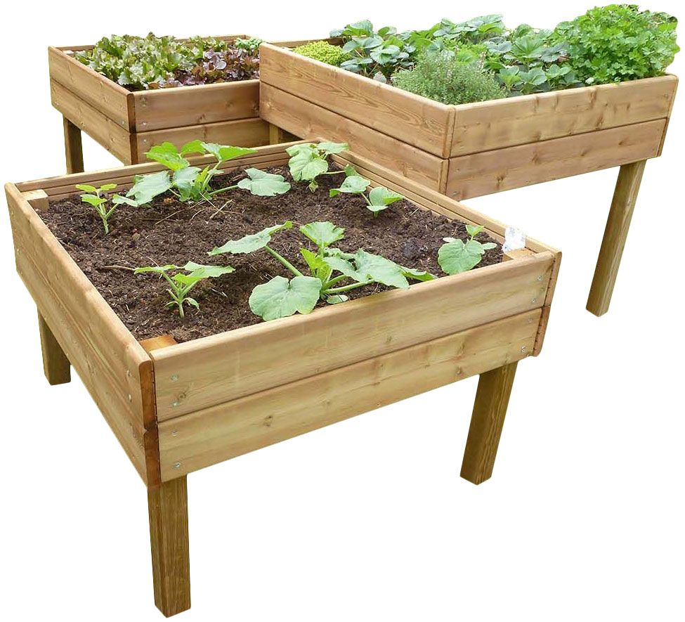 Potager surélevé en douglas 1 mètre (Lot de 3)