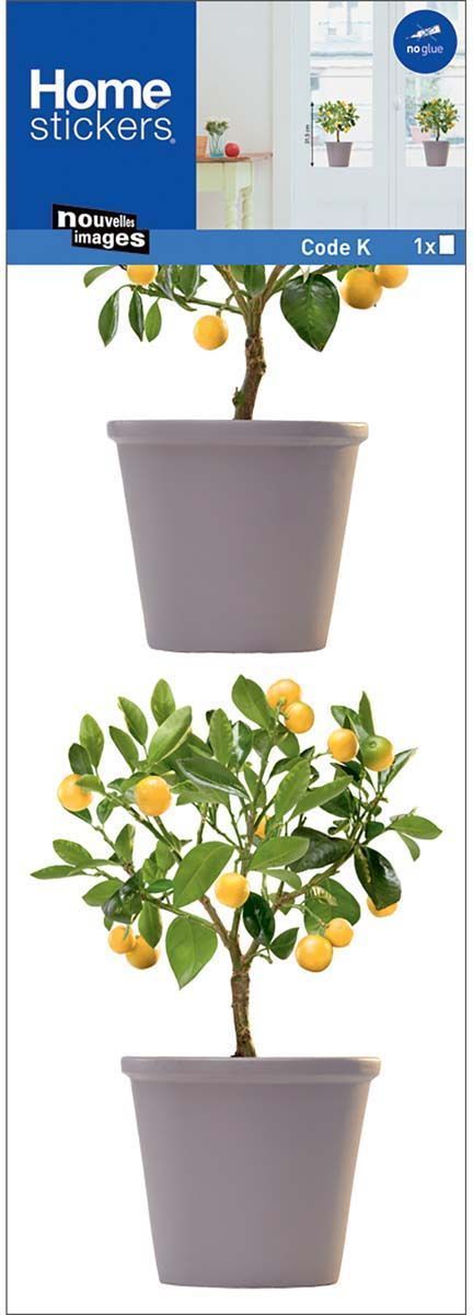 Sticker fenêtre en polypropylène orangers en pots