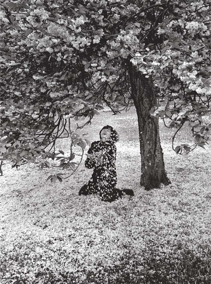 Toile imprimée Parc de Sceaux - E. Boubat 50x70 cm