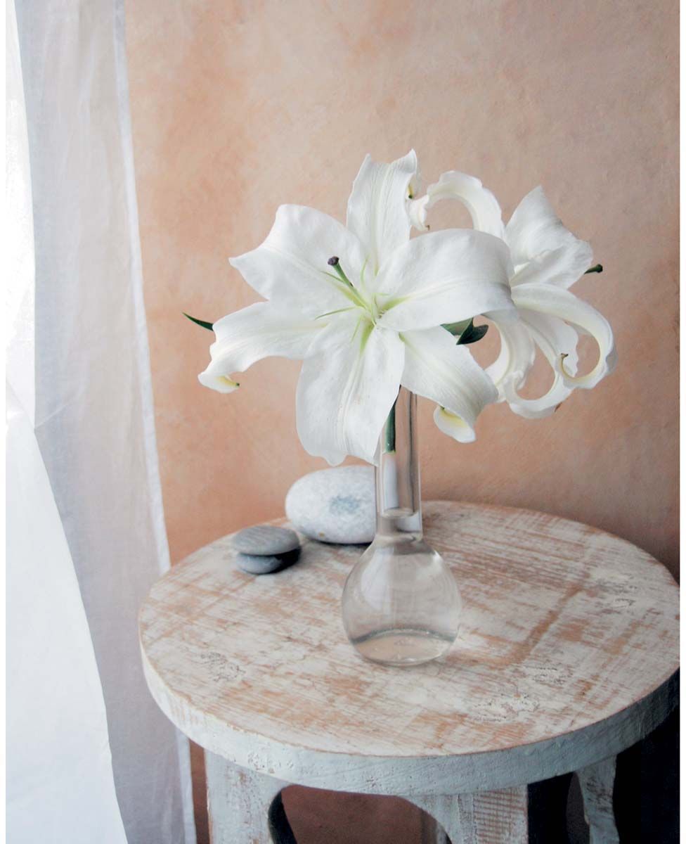 Affiche Les lys blancs - A. Vuillon 40x50 cm