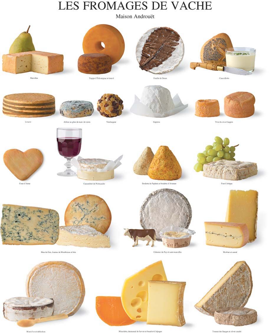 Affiche Les fromages de vache Maison Androuët 40x50 cm