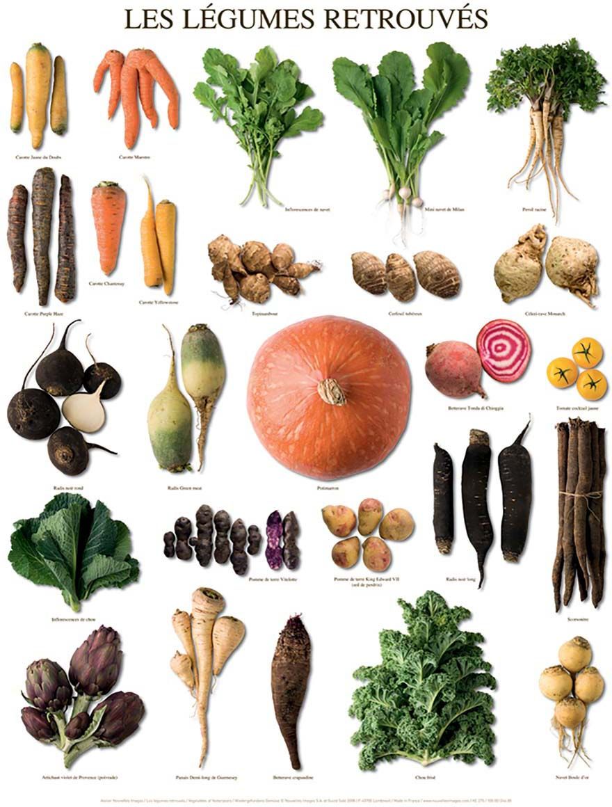 Affiche Les légumes retrouvés 40x50 cm