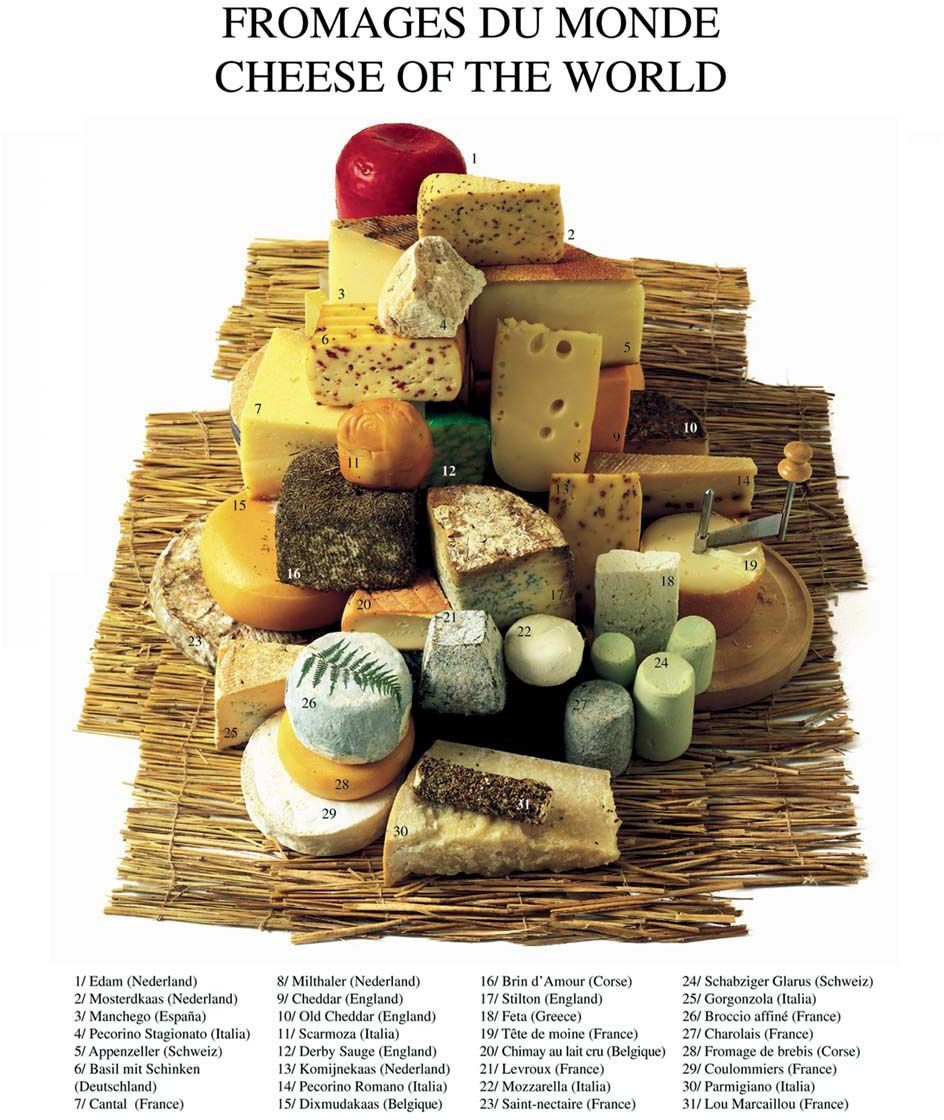 Affiche Fromages du monde 40x50 cm