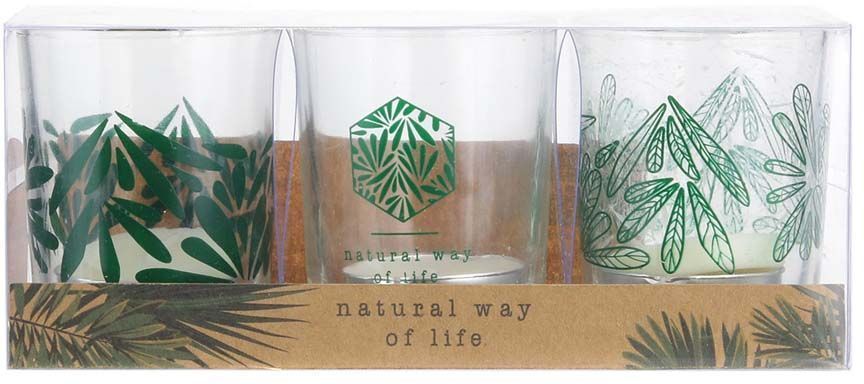 Photophores jungle avec bougies chauffe-plat (Lot de 3)